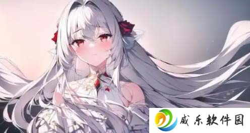 面膜究竟能否只敷于胸部？一边面膜胸与一边面膜下部位的区别与效果如何？