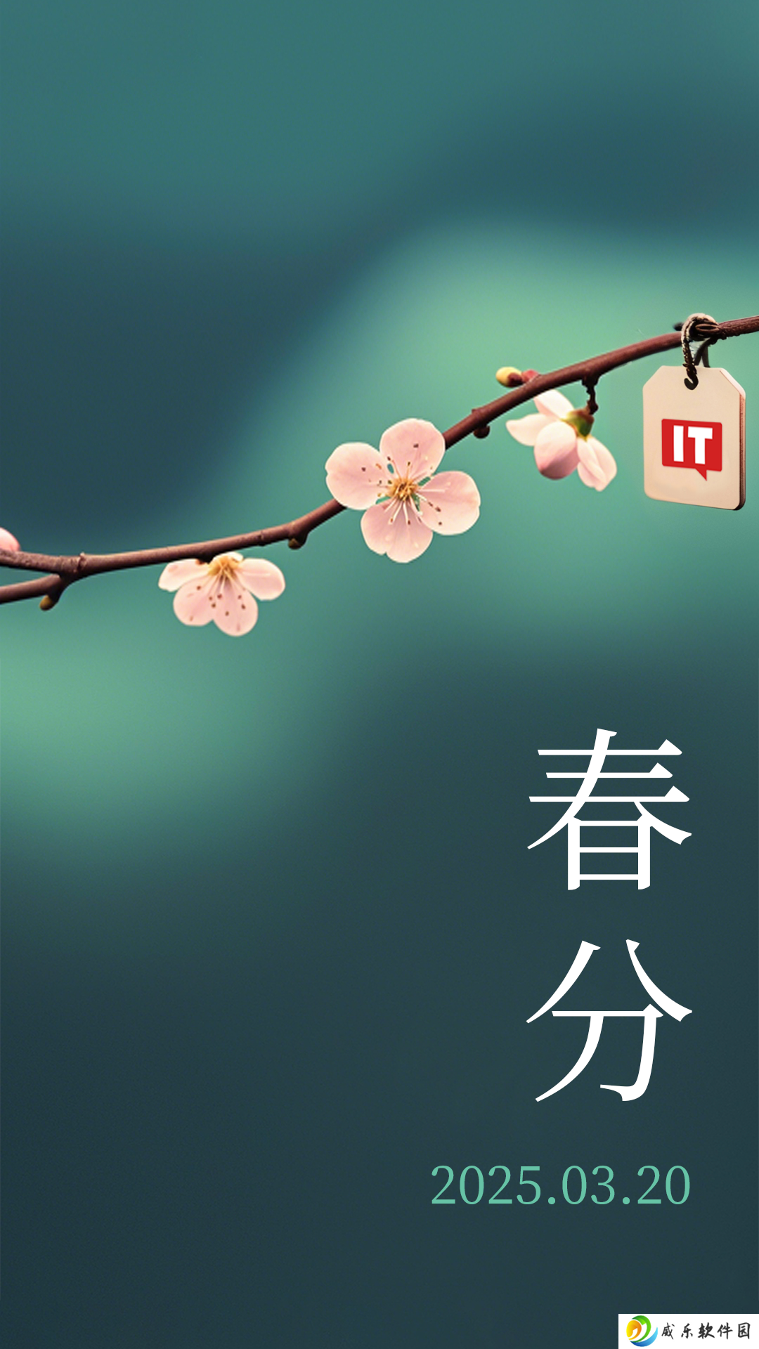 今日春分：草长莺飞二月天，拂堤杨柳醉春烟