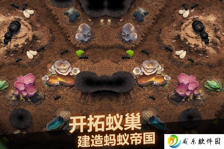 小小蚁国兑换码 小小蚁国兑换码最新2025