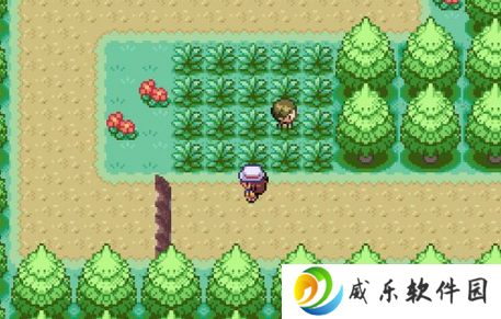 口袋妖怪燃之智凤王在哪 凤王位置攻略