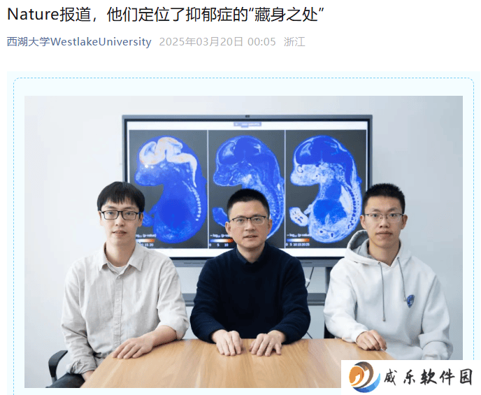 西湖大学杨剑团队gsMap技术：精准“捕捉”脑疾病相关细胞新突破