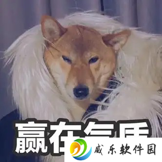 女大晒清凉穿搭，评论区炸锅：这就是让街拍师追了三条街的秘密？