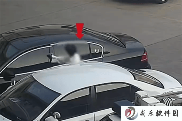 女子考驾照前无证驾车赴考，交警：安全不能儿戏！