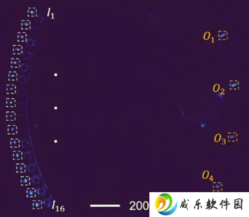 可编程芯片首次用光训练神经网络