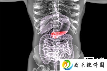 科研团队成功使用定制生物墨水 3D 打印出人类胰岛细胞组织，为治疗 Ⅰ 型糖尿病带来新希望
