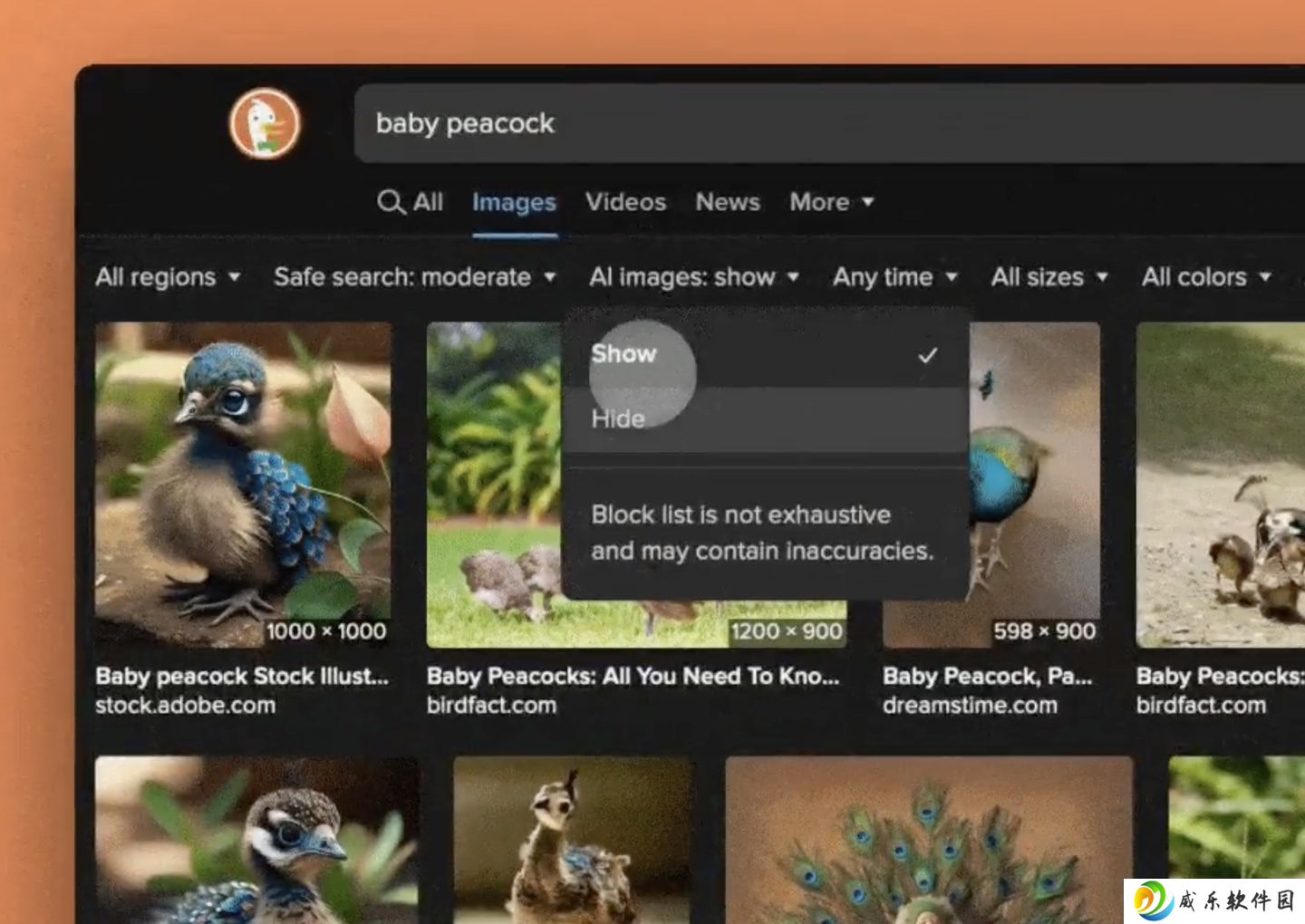 搜索结果中 AI 图片太多不用愁：DuckDuckGo 浏览器上线新功能帮你一键过滤