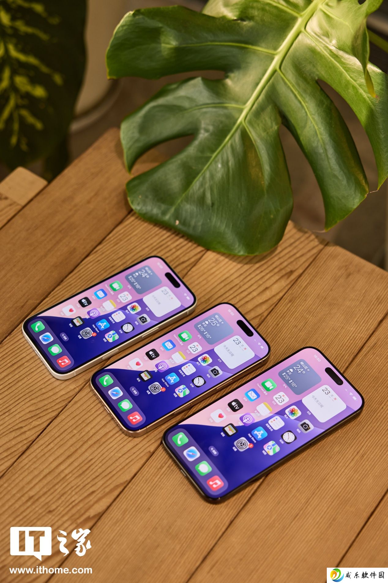 库克：苹果 iPhone 16 系列较同期 iPhone 15 更受欢迎