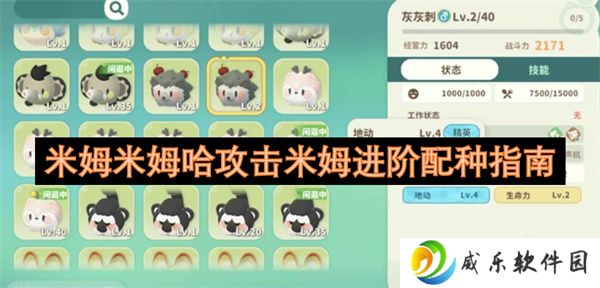 米姆米姆哈攻击米姆进阶配种指南