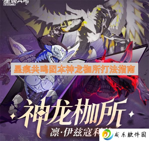 星痕共鸣团本神龙枷所打法指南
