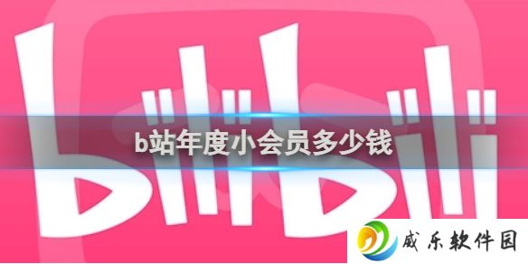 b站年度小会员多少钱 b站年度小会员价格介绍