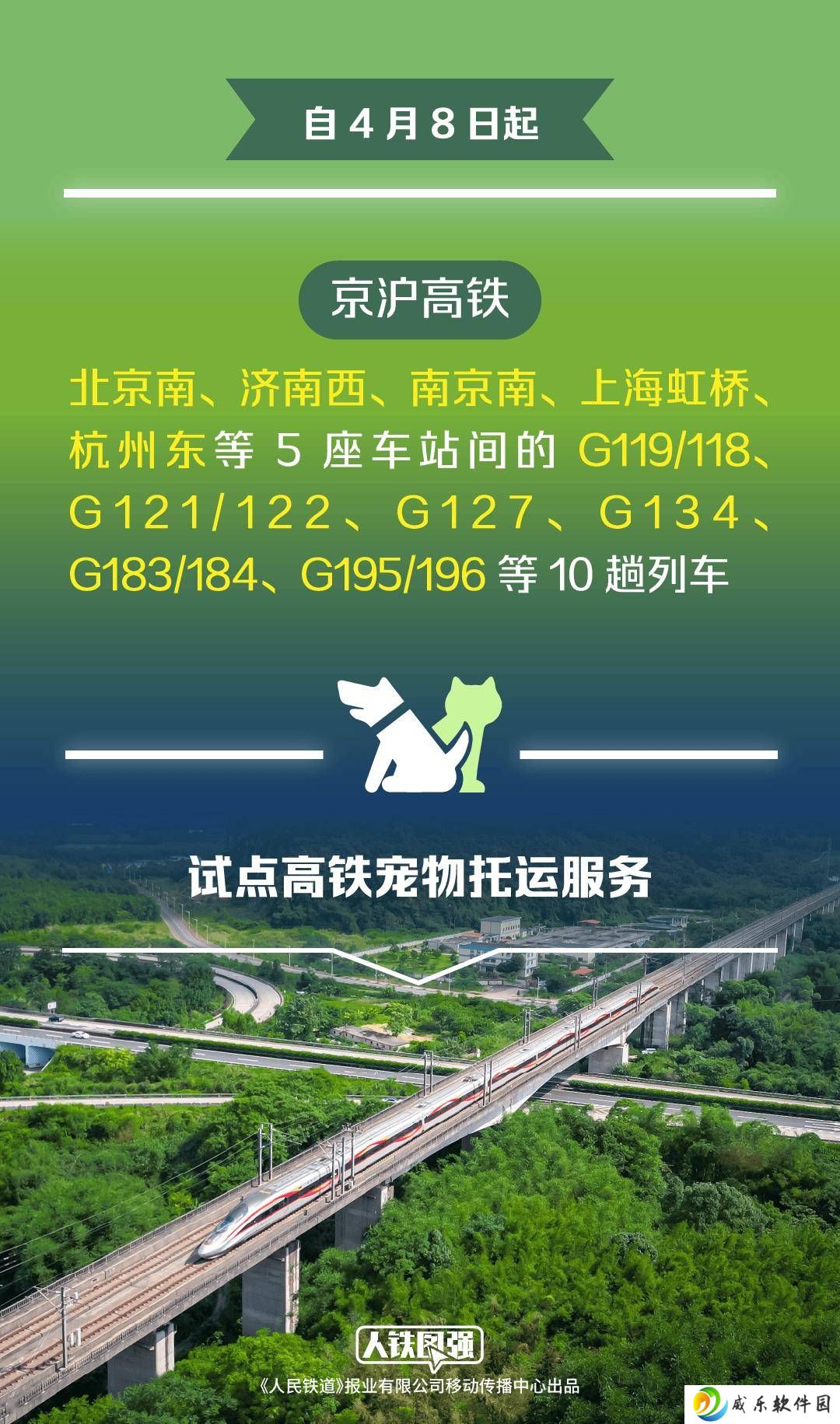 京沪高铁今起试点宠物托运，人宠分离专人看护