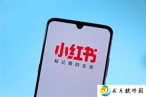 互联网巨头相继取消“大小周”，劳动效率成新焦点？