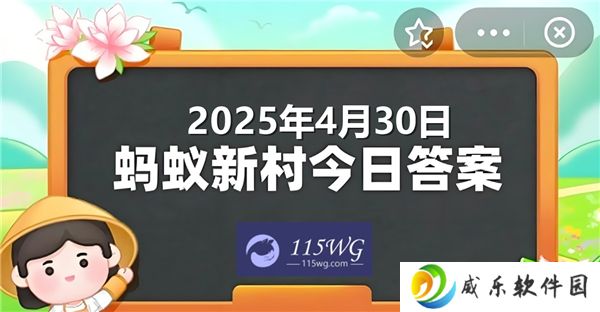 蚂蚁新村今天正确答案最新2025年4月30日