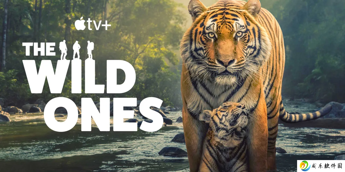 苹果 Apple TV + 全新自然纪录片《The Wild Ones》7 月 11 日全球首播，带你探索濒危物种