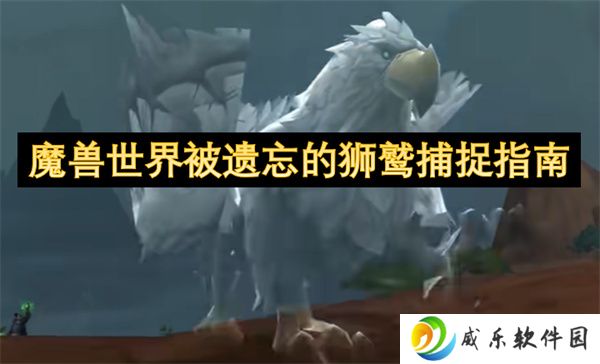 魔兽世界被遗忘的狮鹫捕捉指南
