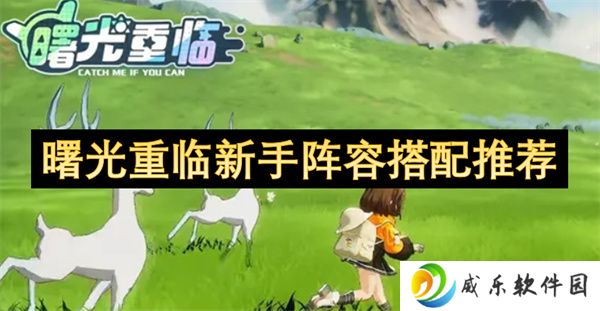 曙光重临新手阵容搭配推荐