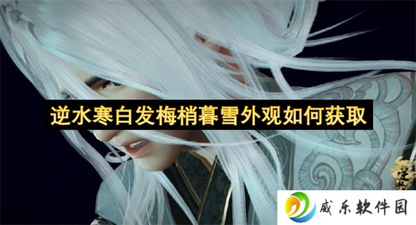 逆水寒白发梅梢暮雪外观如何获取