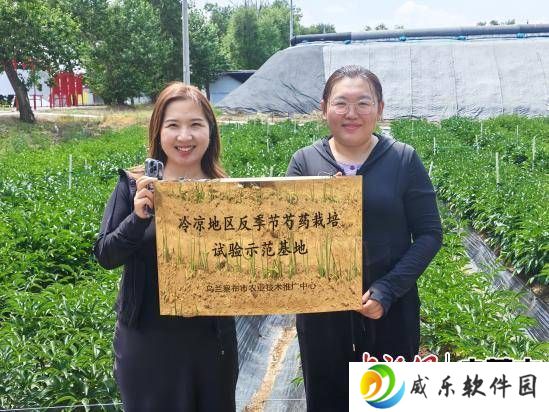乌兰察布芍药鲜切花首出国门，集宁海关助力花卉产业绽放国际舞台