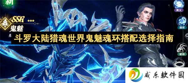 斗罗大陆猎魂世界鬼魅魂环搭配选择指南