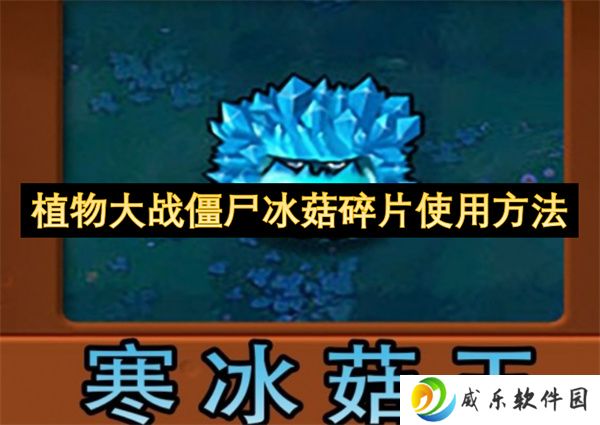 植物大战僵尸冰菇碎片使用方法