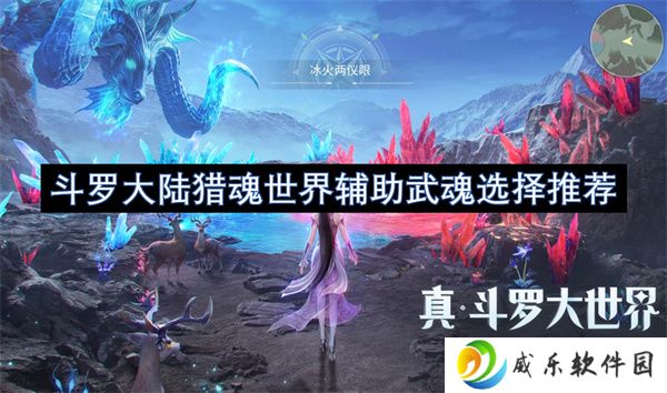斗罗大陆猎魂世界辅助武魂选择推荐